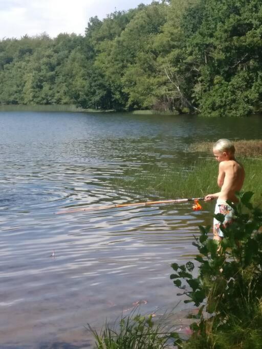 Stuga I Naturskoena Mittskane Hoor Ngoại thất bức ảnh
