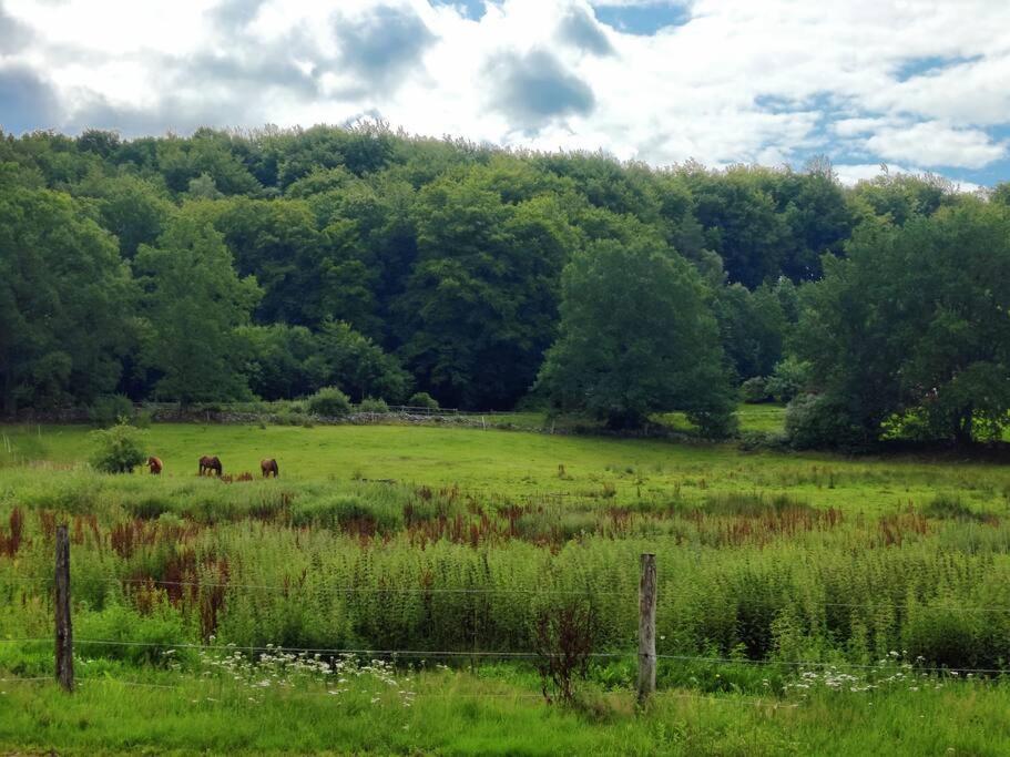 Stuga I Naturskoena Mittskane Hoor Ngoại thất bức ảnh